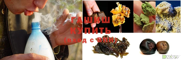 прущие грибы Братск