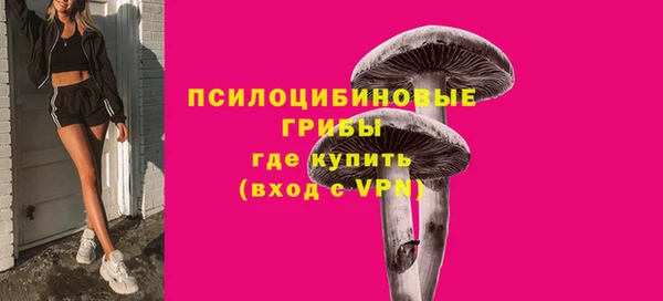 дживик Пестово