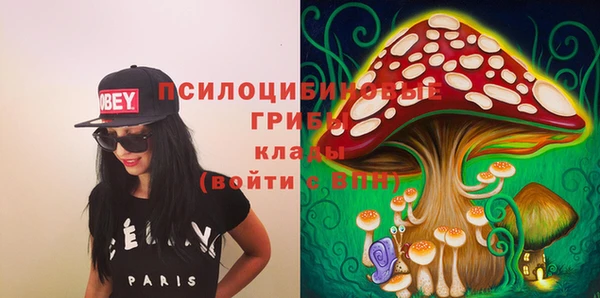 PSILOCYBIN Слюдянка