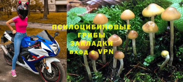mdpv Пересвет