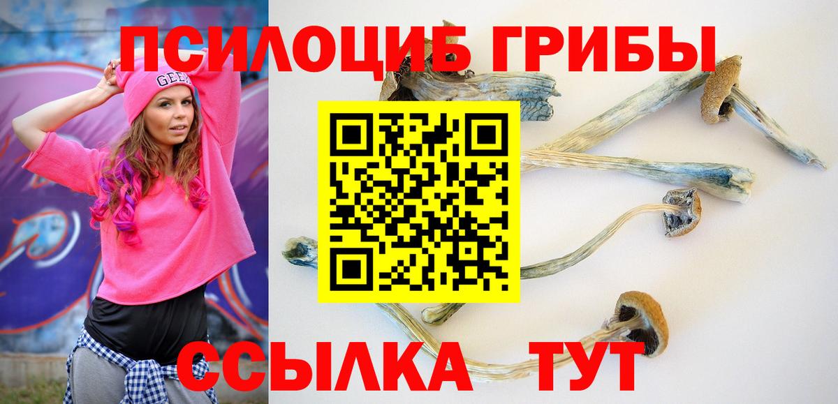 Галлюциногенные грибы Psilocybine cubensis Ялта
