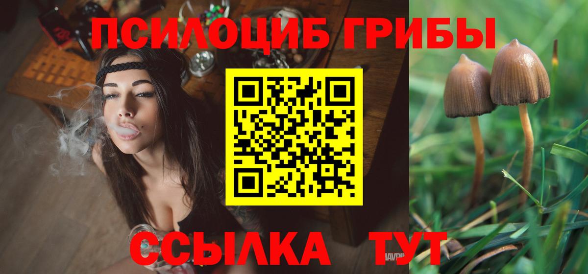 Псилоцибиновые грибы Psilocybine cubensis  Галлюциногенные грибы мицелий  Ялта 