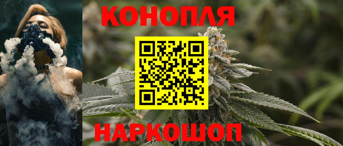 Каннабис OG Kush Ялта
